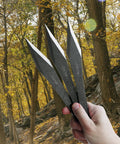 Hand holding three Six Pack 9.4 Inch No Spin Throwing Spikes Set in Durable 420HC Stainless Steel for outdoor use.