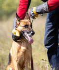 Person holding German Shepherd with Bite Proof Animal Handling Gloves With Kevlar Reinforcement And Leather Shield For Safe Grooming.