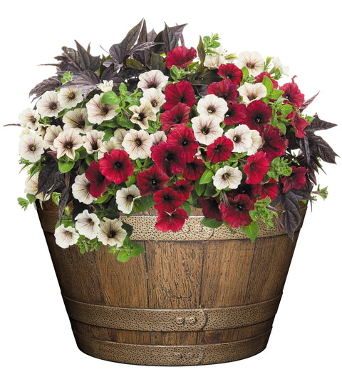 Whiskey Barrel Planter With Distressed Oak Finish And Antique Pewter Bands Yard Ready Durable UV Coated Resin Outdoor Drainage Holes Large Top Diameter 20.5 Inches Height 12.5 Inches Bottom Diameter 14 Inches filled with flowers