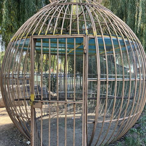 Get Your Hands On This Tough Half Inch Galvanized Hardware Cloth Roll That's 48 Inches Wide By 100 Feet Long Crafted From 19 Gauge Black Annealed Steel Wire Mesh Galvanized After Welding For Top Notch Rust And Corrosion Resistance Perfect For Chicken coop enclosure