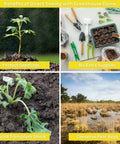 Sunflower Garden Kit for Kids and Families Grow Your Own Sunflowers From Seeds With Greenhouse Domes And Grow Rings Non GMO Seeds