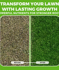 Before and after using Liquid Lawn Aerator One Gallon Soil Conditioner And Softener For Lawns And Gardens Loosens Clay And Compacted Soil