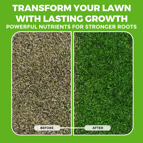 Before and after using Liquid Lawn Aerator One Gallon Soil Conditioner And Softener For Lawns And Gardens Loosens Clay And Compacted Soil