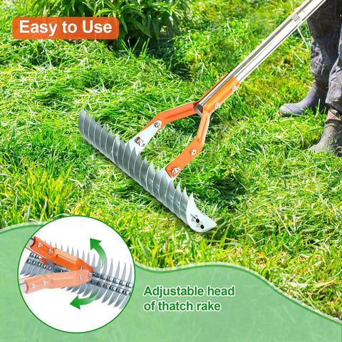 Heavy Duty Thatch Rake for Lawns 15 Inch with Detachable 64 Inch Handle and Adjustable Head Two Sided Dethatcher Rake in use
