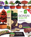 Six Heirloom Bonsai Varieties Kit With Unique Pots DIY Indoor Bonsai Starter Set For Adults And Beginners Totally Giftable For Gardeners Plant Lovers And Home Decor Enthusiasts, showing bonsai varieties and grow kit contents.