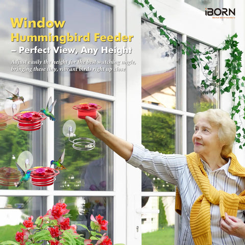 Woman installing Window Hummingbird Feeder Three Pack with strong suction cup, stainless steel base, 3.4 oz capacity per feeder