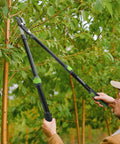 Extendable Anvil Lopper For Gardening With 25 To 37 Inch Reach, Cuts Branches Up To 1.6 Inches, used by gardener on tree