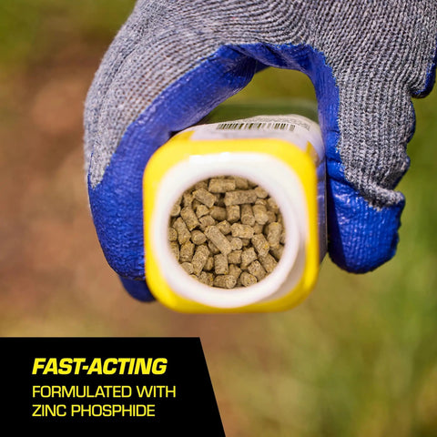 Person holding 6 oz container of pelleted mole and gopher bait with zinc phosphide for pest control in lawns and gardens
