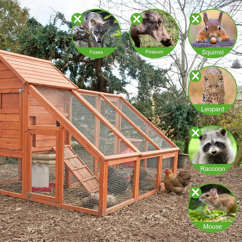 Dang Tough 19 Gauge PVC Vinyl Coated Hardware Cloth 1/2 Inch Mesh 48 By 100 Foot Fence Roll protecting chicken coop from predators.