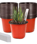 4 Inch Seed Starter Pots Pack Of 100 With Labels For Seedlings And Small Plants Durable Plastic Nursery Pots Perfect For Succulents Flowers Herbs And Urban Garden Projects, featuring a stack of pots and a labeled plant
