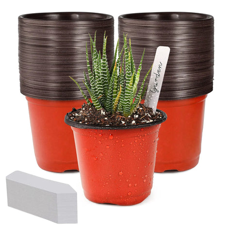 4 Inch Seed Starter Pots Pack Of 100 With Labels For Seedlings And Small Plants Durable Plastic Nursery Pots Perfect For Succulents Flowers Herbs And Urban Garden Projects, featuring a stack of pots and a labeled plant