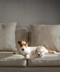 Dog on couch with Grasscloth Peel And Stick Wallpaper Self Adhesive 15.7 Inch By 787.4 Inch Light Gray Faux Linen Vinyl Wall Cover