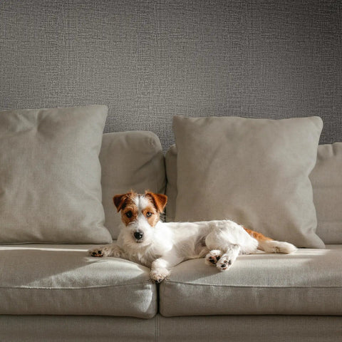 Dog on couch with Grasscloth Peel And Stick Wallpaper Self Adhesive 15.7 Inch By 787.4 Inch Light Gray Faux Linen Vinyl Wall Cover