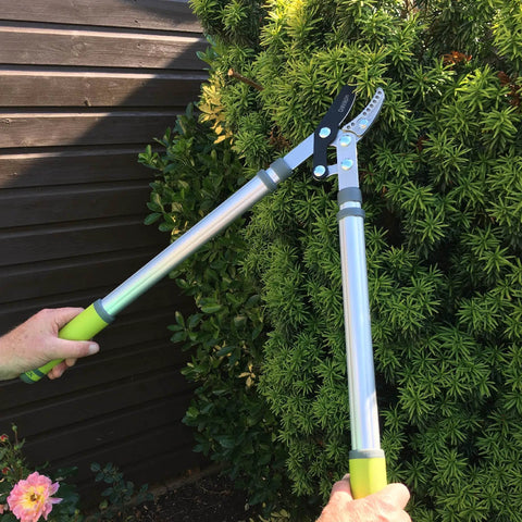Beefy Telescopic Loppers For Thick Branches With Anvil Cutter, Durable SK5 Steel, used to prune thick greenery outdoors