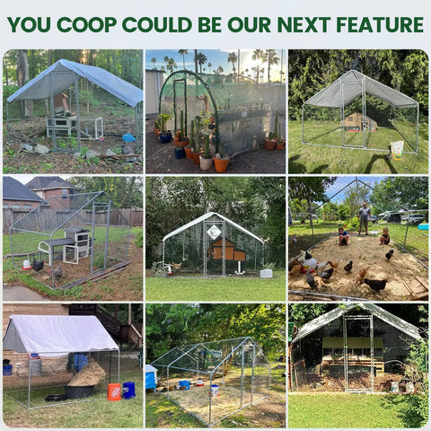 Various styles of chicken coops outdoors, including a Large Walk In Chicken Coop With Solar Light And Outdoor Metal Poultry Cage With Run And Hardware Cloth Built Tough Waterproof And UV Resistant Hen House For Farm And Backyard.