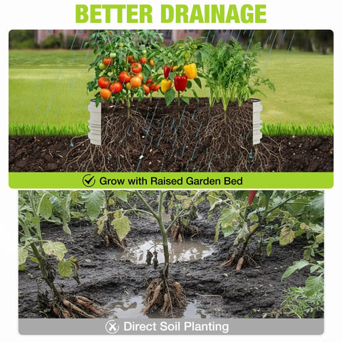 Comparison of Two Pack 4x2x1 Ft Outdoor Galvanized Raised Garden Bed Kit With Rust And Corrosion Protection Easy Assembly Safe Edge Open Bottom Design For Vegetables And Flowers White versus direct soil planting, showing better drainage with the raised bed