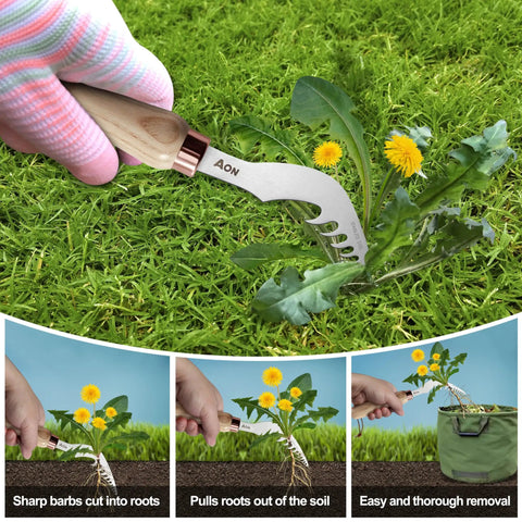 2 Pack Hand Weeder Set With L Shaped Crevice Tool And Curved Tip Weeder Heat Treated Steel Blades And Ash Wood Ergonomic Handles