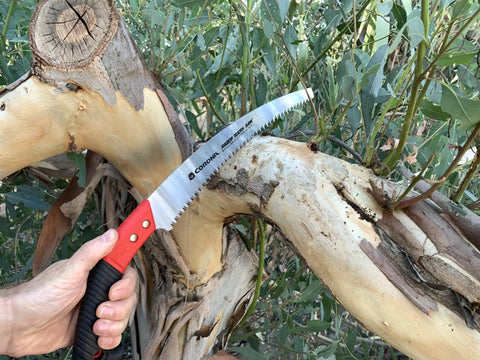 RazorTOOTH Pruning Saw For One-Hand Use 13-Inch Curved Blade Tree Saw With High-Carbon SK5 Steel Chrome-Plated Edges Cuts Branches