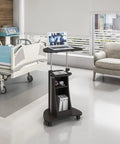 Sit To Stand Rolling Laptop Cart With Storage For Home Office Use, Adjustable Height From 28.25 Inches To 43 Inches, Graphite Finish
