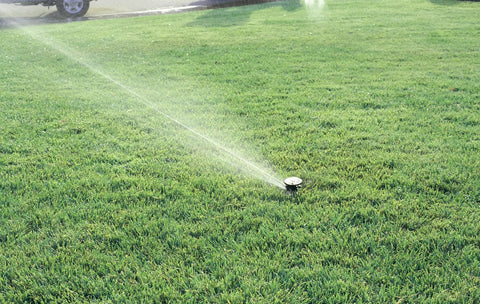 Low Gallonage Pop Up Impact Lawn Sprinkler with Adjustable 20 to 360 Degree Pattern and 26 to 36 Feet Spray Distance in operation on lawn