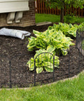 Arched 10 Pack Metal Garden Fence Panels Rustproof Wire Edging for Outdoor Yard Landscape Animal Barrier Fence 10Ft Total Length 24In High No Fuss Install to Protect Flowers Landscaping installed around flower bed