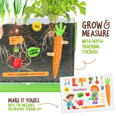 Root Viewer Plant Growing Kit for Kids See Through Planter STEM Science Toy with depth-tracking stickers and guide