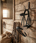 Pro Grade Leather Flower Shank Padded Noseband Hackamore For Western Training hanging in a rustic stable setting