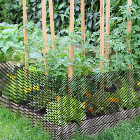 Plastic Chicken Wire Fence Mesh 15.7 In By 16.4 Ft Black Hexagonal Tough Netting 0.35 In Mesh used as garden fencing barrier