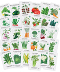 Certified Organic Vegetable Seeds 30-Pack Non-GMO Open-Pollinated Garden Kit For Home DIY Gardeners with illustrated seed packets