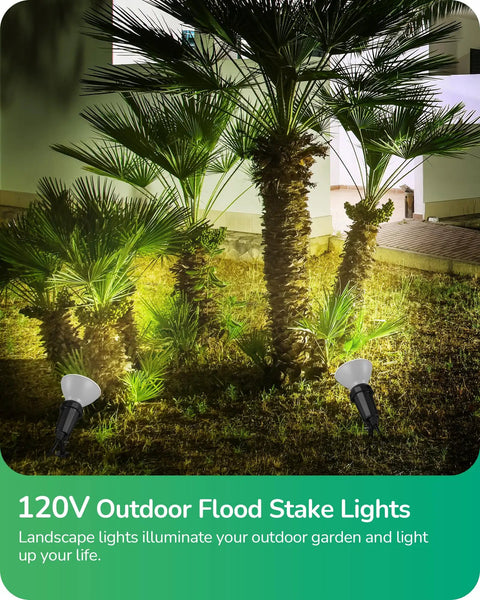 Heavy Duty Weatherproof Outdoor Halloween Flood Lights 120V With Six Foot Extension Cord Two Pack illuminating palms at night.