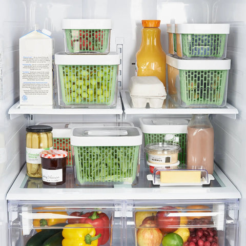 Keep It Fresh 1.6 Quart Food Storage Container with Airflow Basket, Adjustable Top Vent, and Replaceable Carbon Filter in fridge