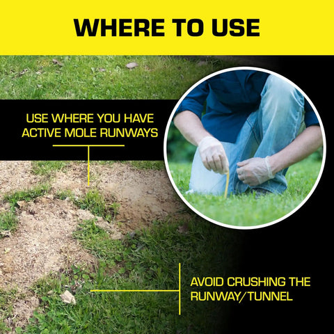 Image showing active mole runways for using Mole Killer Worm Baits For Lawns And Yards, Mimics Mole Food To Kill With One Feeding.