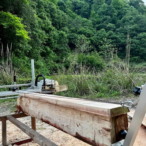 Chainsaw Mill Winch Kit With Lever Arm for hardwood milling in a lush forest setting