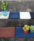 Assorted plant saucers and seed starter trays for indoors, 14 by 11 inch heavy duty plastic propagation saucers for microgreens.