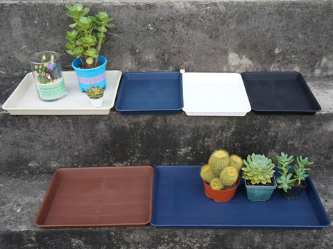 Assorted plant saucers and seed starter trays for indoors, 14 by 11 inch heavy duty plastic propagation saucers for microgreens.