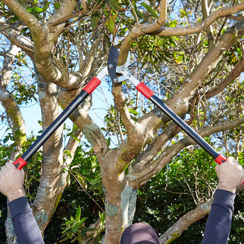 Person using PowerPRO 29 Inch Compound Action Bypass Loppers For Beefed Up Tree Trimming And Pruning High Carbon Japanese Steel Blades Cut Branches Up To 2 Inches Durable Garden Loppers For Pruning Vines And Shrubs on tree branch.