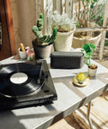 Audio-Technica Black Belt Drive Turntable features in a sunlit room on a metal table with potted plants.