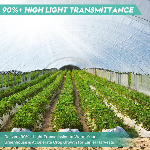 Heavy Duty 6 Mil UV Resistant Greenhouse Plastic Sheeting 12x25 Ft Clear Polyethylene Covering Waterproof For Garden, Farms, And Agriculture Tough As Nails Ideal For Greenhouses, Hoophouses, Cold Frames And Outdoor Growing