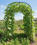 Outdoor Garden Arch Trellis For Climbing Plants, 83 Inch Tall Plant Support Arbor in a backyard with green vines and vegetables