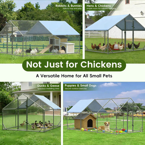 Spacious Walk In Chicken Run With Full Roof Cover For Backyard Poultry 13 Ft Long By 9.8 Ft Wide By 6.5 Ft High Heavy Duty Metal Coop Waterproof UV Resistant Canopy Enclosure For Chickens Ducks And Rabbits