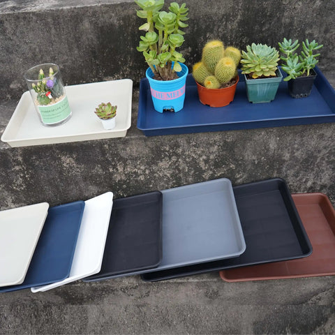 Assorted plant saucers and seed starter trays in various colors and sizes on display, including Plant Saucer And Seed Starter Tray For Indoors, 14 By 11 Inch Heavy Duty Plastic Propagation Saucers For Microgreens, Humidity Tray, Rectangular Seedling Growing Tray, Durable Drainage Tray.