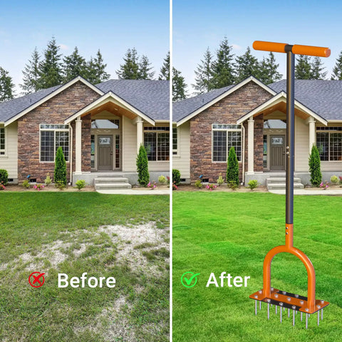 39 Inch Lawn Aerator With 15 Industrial Grade No 45 Steel Spikes Manual Yard Aerator Tool for lawns showing grass improvement before and after
