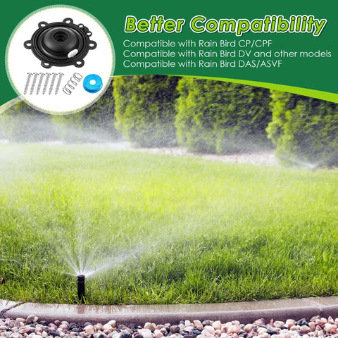 Front view of Gulfmew diaphragm repair kit for Rain Bird irrigation valves, includes screws, springs, blue filter (4-pack)