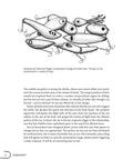 Illustration of various fishing lures showcasing eyes, highlighting the importance of eye design in The Legit DIY Fishing Lure Making Guide To Craft Custom Plugs Spinners Spoons And Jigs That Truly Crush It For Bass Trout Anglers Looking To Amp Up Their Tackle Bag Game.