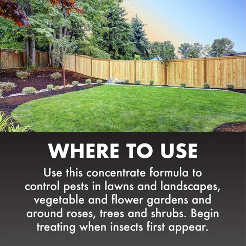 Lush lawn with wooden fence showcasing Fast Acting Insect Killer For Lawns And Landscapes Ready To Spray Concentrate Protects Lawns