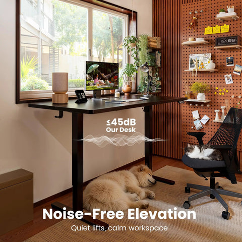 Electric Height Adjustable Sit Stand Desk 48 By 24 Inches With Memory Presets, Quiet Lift, ergonomic setup in home office