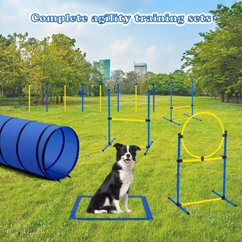 Backyard Dog Agility Course Set All In One Obstacle Kit with tunnel, hurdles, jump ring, weave poles, and pause box on grass