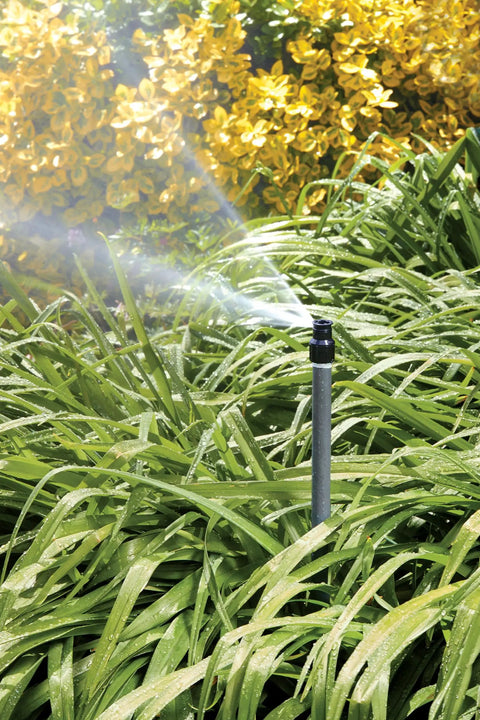 No Fuss Shrub Head Sprinkler With Quarter Pattern Spray Nozzle For Outdoor Gardens And Landscaping  spraying water on lush green grass.