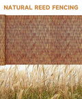Natural Reed Fencing Roll For Balcony Patio Garden And Yard Privacy Screen Sixteen Point Four Feet Long Brown Eco Friendly Durable