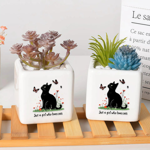 black cat plant pot Black Cat Ceramic Succulent Planter Cute Kitty Pot ✓
